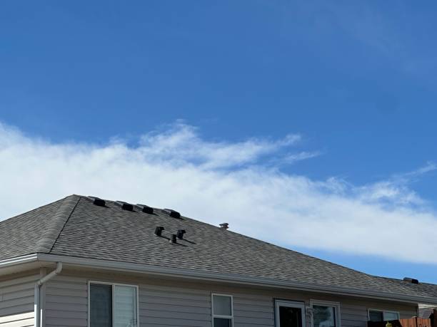 Best Roof Insulation Installation  in Cimarron Hills, CO
